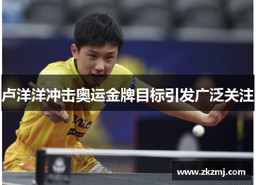 卢洋洋冲击奥运金牌目标引发广泛关注